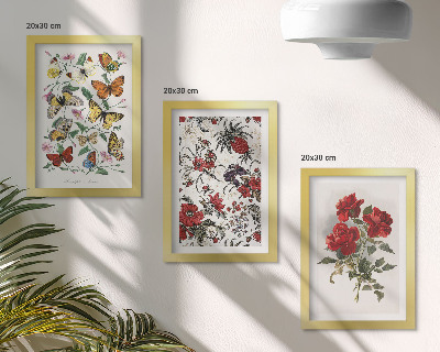 3-piece wall art set Butterflies, flowers and red roses in a classic style