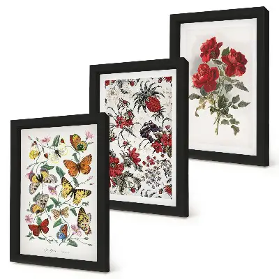 3-piece wall art set featuring butterflies, flowers, and red roses in a classic style