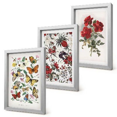 3-piece wall art set Butterflies, flowers and red roses in a classic style