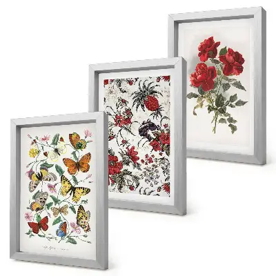 3-piece wall art set featuring butterflies, flowers, and red roses in a classic style