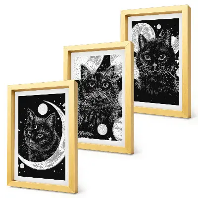 Framed triptych Black cats against the backdrop of the moon and planets in space