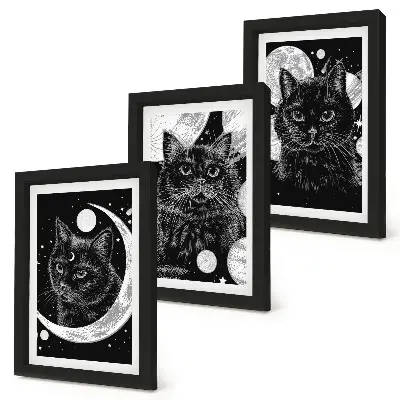 Framed triptych Black cats against the backdrop of the moon and planets in space