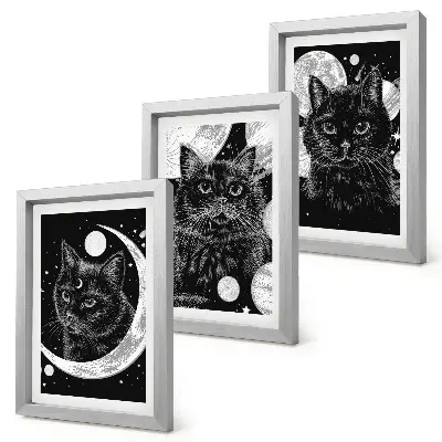 Framed triptych Black cats against the backdrop of the moon and planets in space