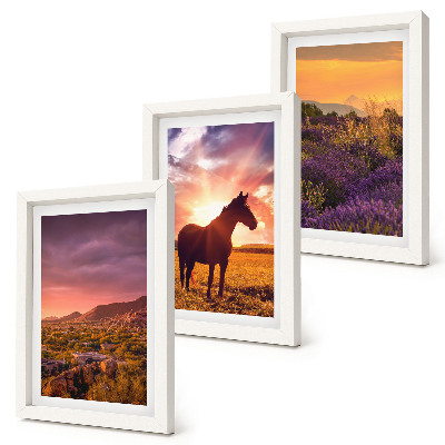 Framed triptych Mountain landscapes with horses and lavender fields
