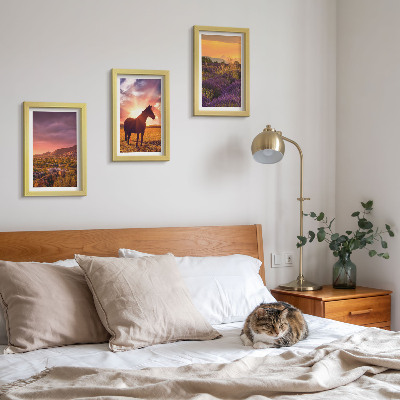 Framed triptych Mountain landscapes with horses and lavender fields