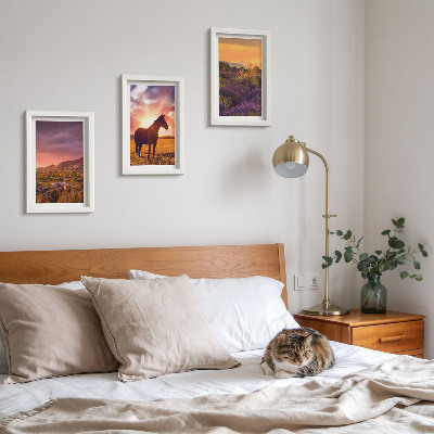Framed triptych Mountain landscapes with horses and lavender fields