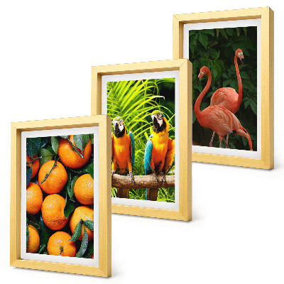 Photo frame wall Fruity accents with parrots and flamingos in the tropics