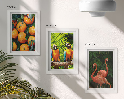 Photo frame wall Fruity accents with parrots and flamingos in the tropics