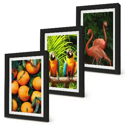 Photo frame wall with tropical fruity accents featuring parrots and flamingos