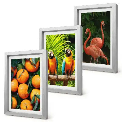 Photo frame wall with tropical fruity accents featuring parrots and flamingos