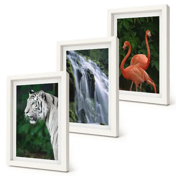 Tiger, waterfall, and pink flamingos art print framed triptych