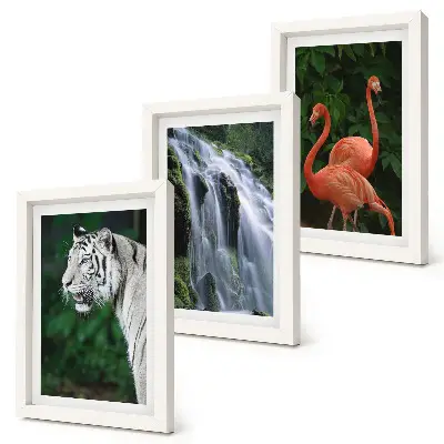 Framed triptych Tiger waterfall and pink flamingos in nature