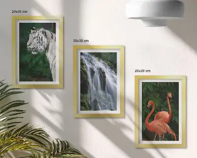 Framed triptych Tiger waterfall and pink flamingos in nature