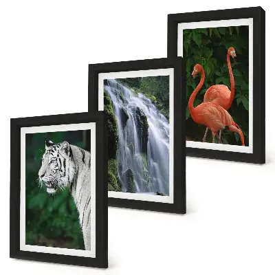 Tiger, waterfall, and pink flamingos art print framed triptych