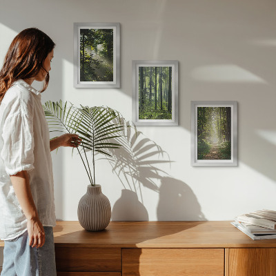 Photo frame wall Green forests with rays of light and a forest path