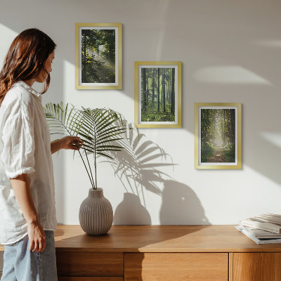 Photo frame wall Green forests with rays of light and a forest path