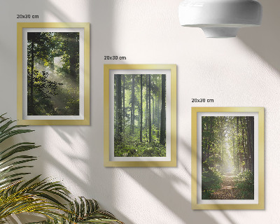 Photo frame wall Green forests with rays of light and a forest path