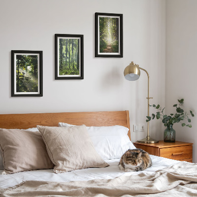 Photo frame wall Green forests with rays of light and a forest path