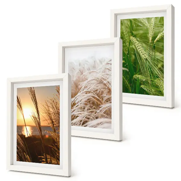 Colorful nature grass triptych framed wall art set