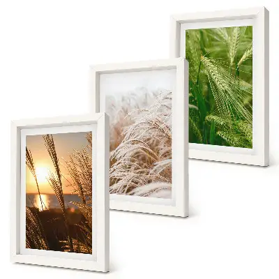 Colorful nature grass triptych framed wall art set