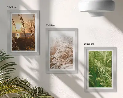 Colorful nature grass triptych framed wall art set