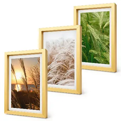 Colorful nature grass triptych framed wall art set