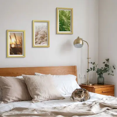 Colorful nature grass triptych framed wall art set