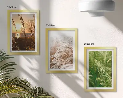 Colorful nature grass triptych framed wall art set
