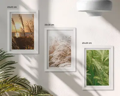 Colorful nature grass triptych framed wall art set