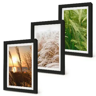 Colorful nature grass triptych framed wall art set