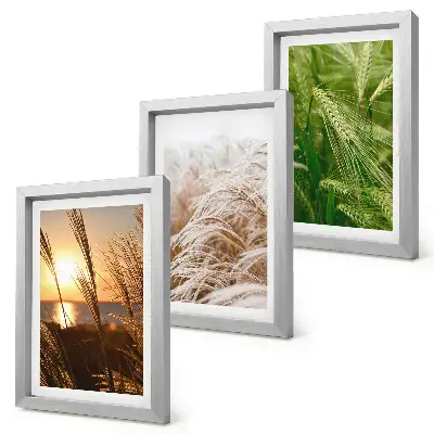 Colorful nature grass triptych framed wall art set