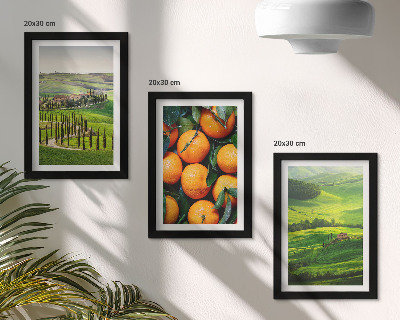 Photo frame wall Italian countryside landscape with oranges and nature