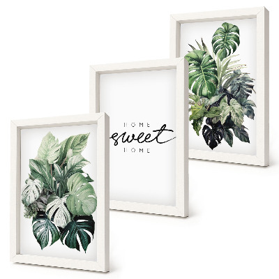 Photo frame wall Green plants with the words Sweet Home