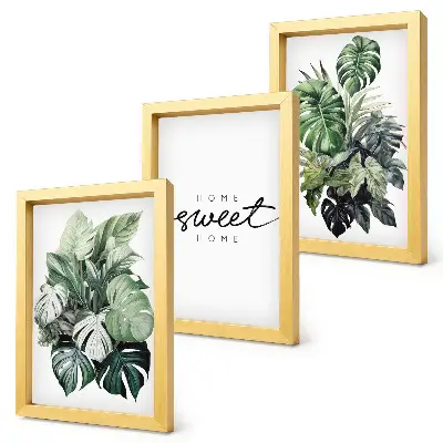 Photo frame wall gallery green plants design with Sweet Home lettering