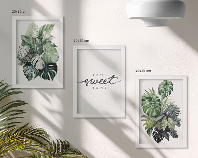 Photo frame wall Green plants with the words Sweet Home