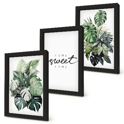 Photo frame wall Green plants with the words Sweet Home