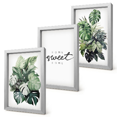 Photo frame wall Green plants with the words Sweet Home