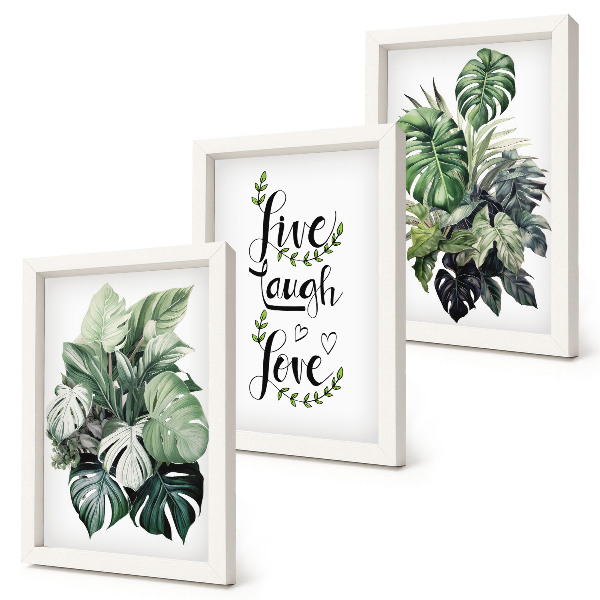 Framed triptych Leafy plants with the words live, laugh, love