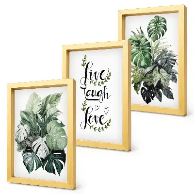 Leafy plants live laugh love framed triptych three piece framed wall art print set