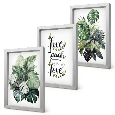Framed triptych Leafy plants with the words live, laugh, love
