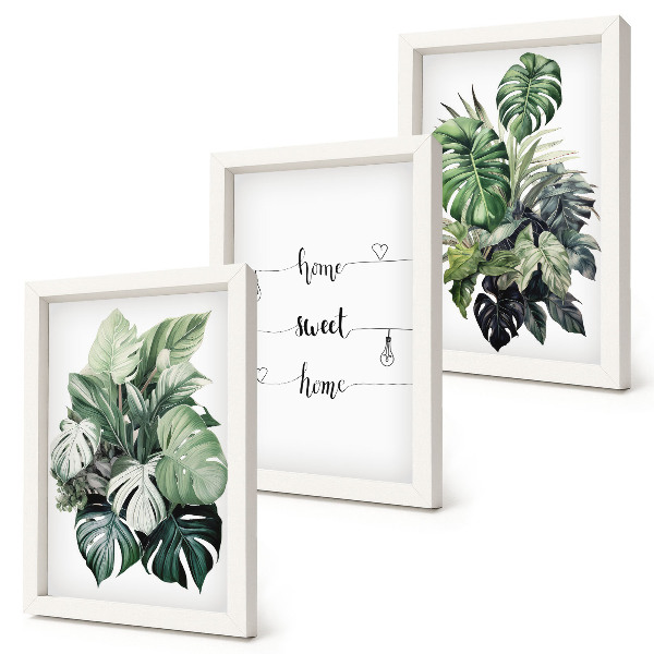 3-piece wall art set Watercolor Monstera Leaves Home Sweet Home