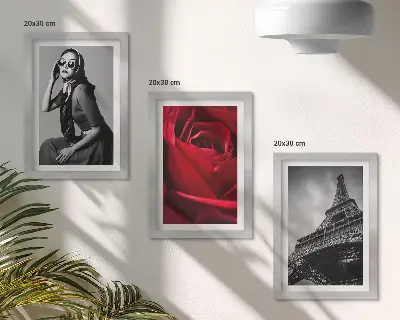 Photo frame wall Parisian woman with rose glasses and the Eiffel Tower