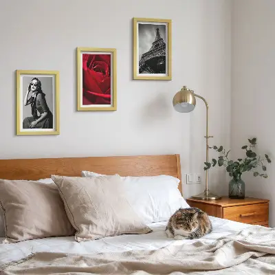 Photo frame wall Parisian woman with rose glasses and the Eiffel Tower