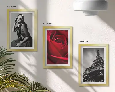Photo frame wall Parisian woman with rose glasses and the Eiffel Tower