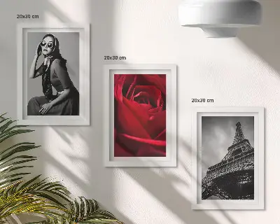 Photo frame wall Parisian woman with rose glasses and the Eiffel Tower