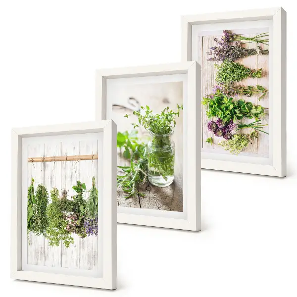 Photo frame wall for drying herbs and plants in the kitchen