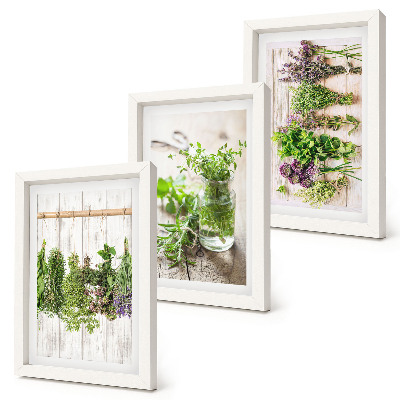 Photo frame wall Drying herbs and plants for the kitchen