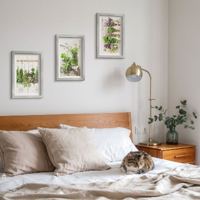 Photo frame wall Drying herbs and plants for the kitchen