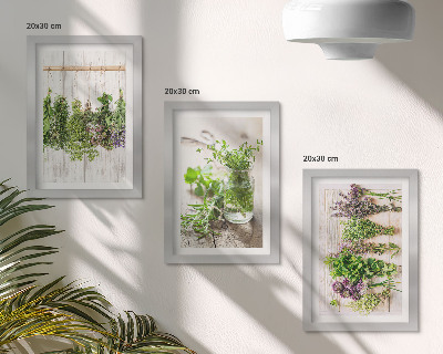 Photo frame wall Drying herbs and plants for the kitchen