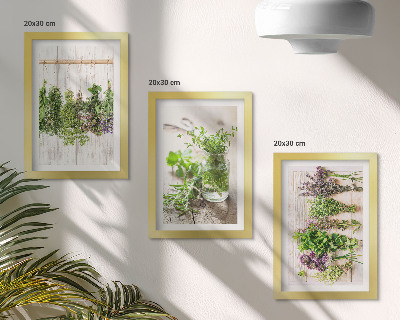 Photo frame wall Drying herbs and plants for the kitchen